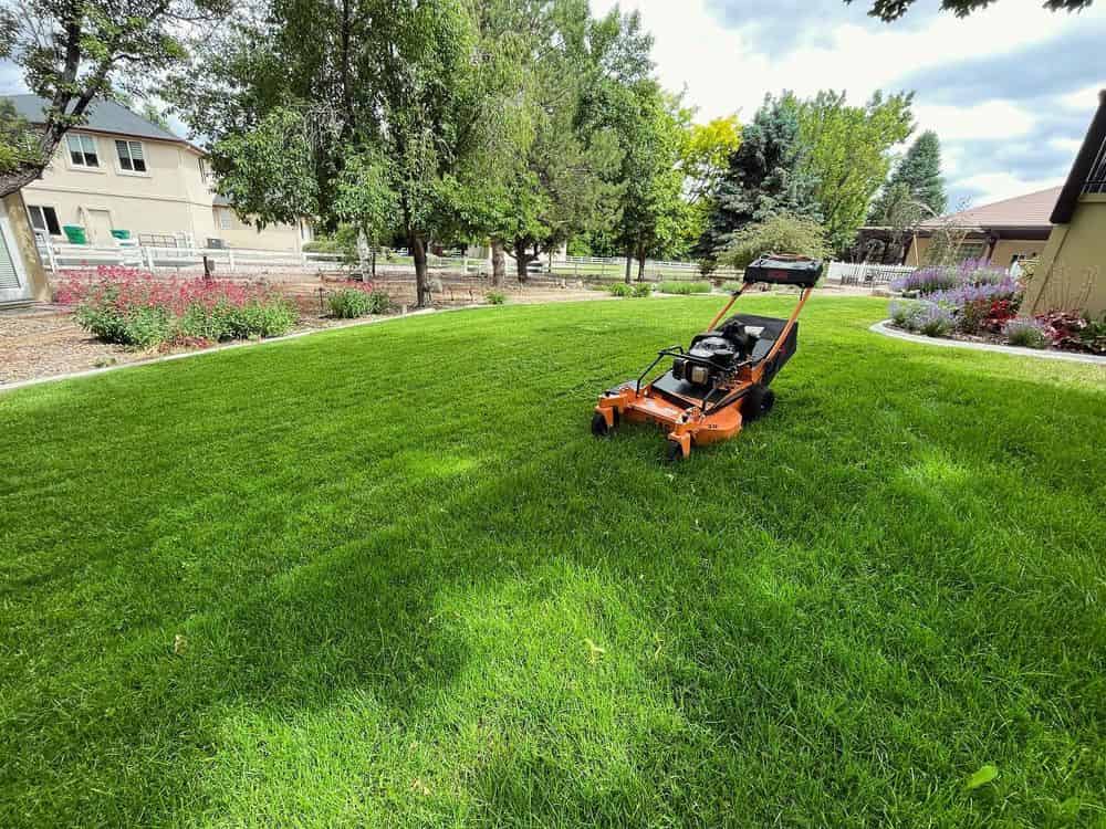 Landscaping Services image