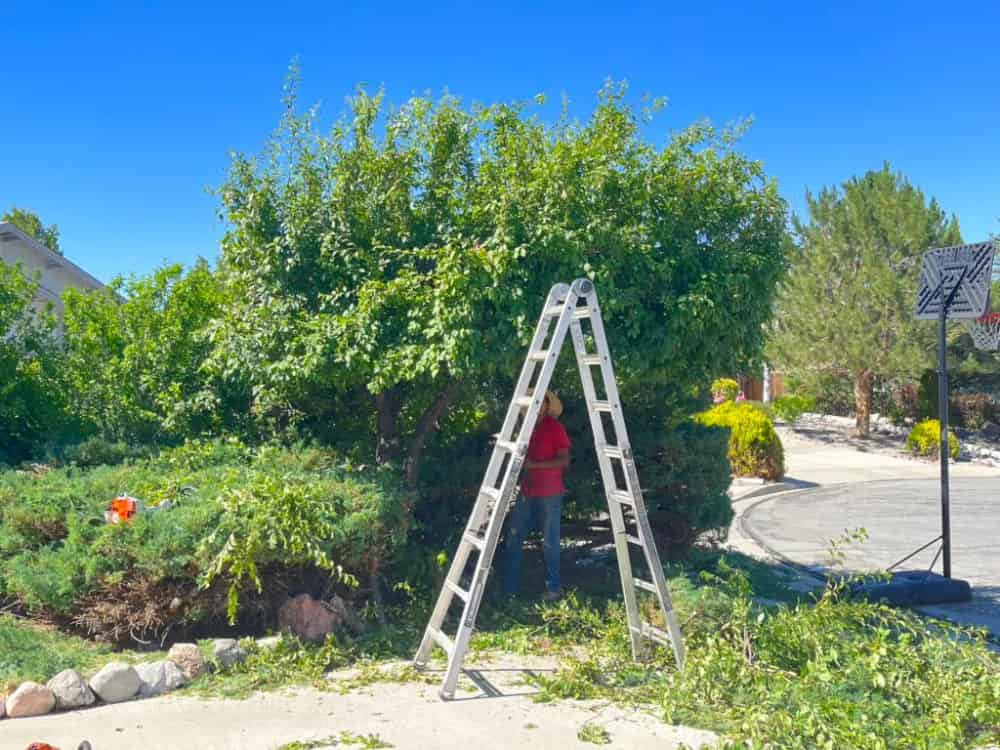 Landscape Design image