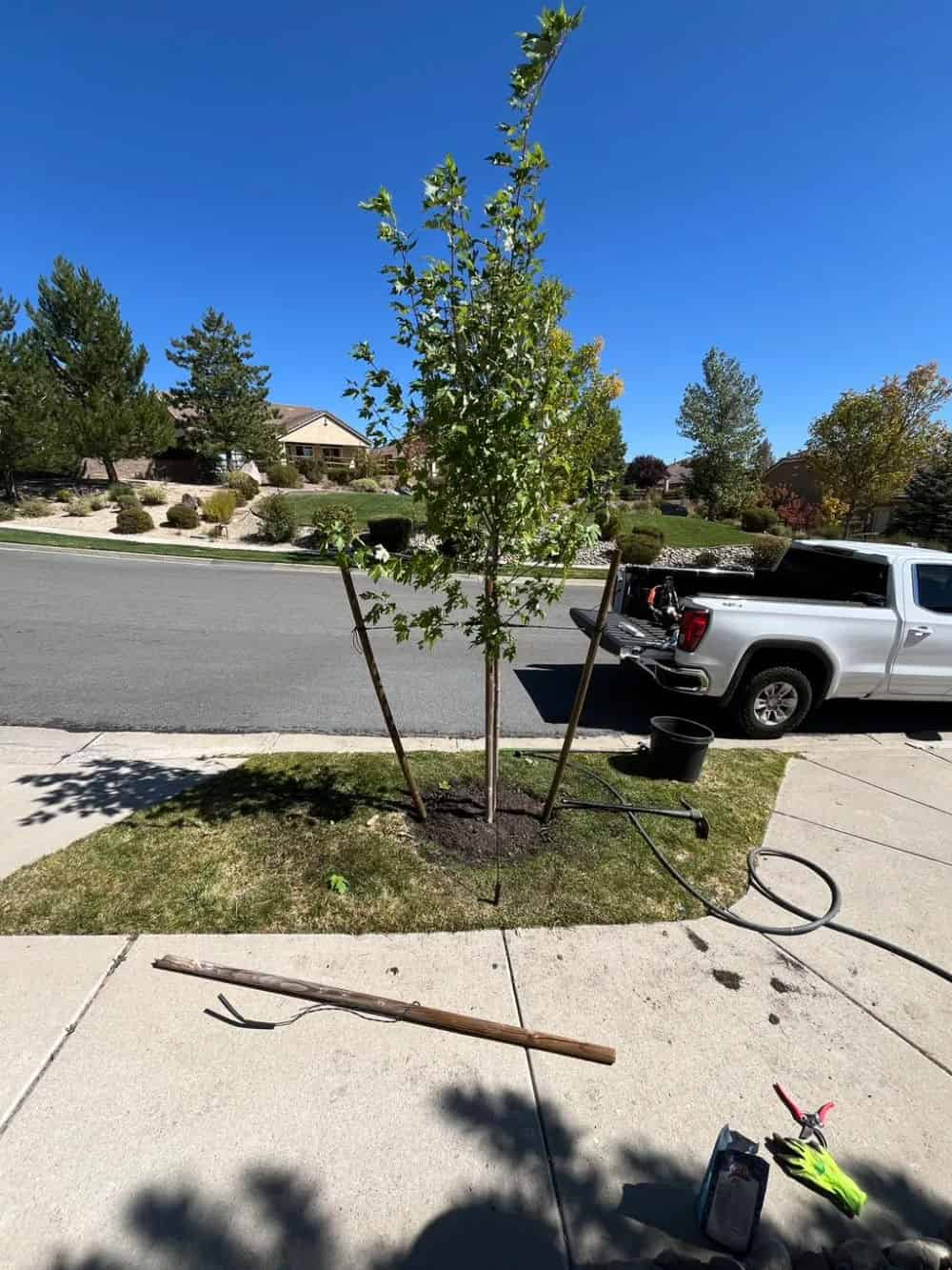 Plant Installation image