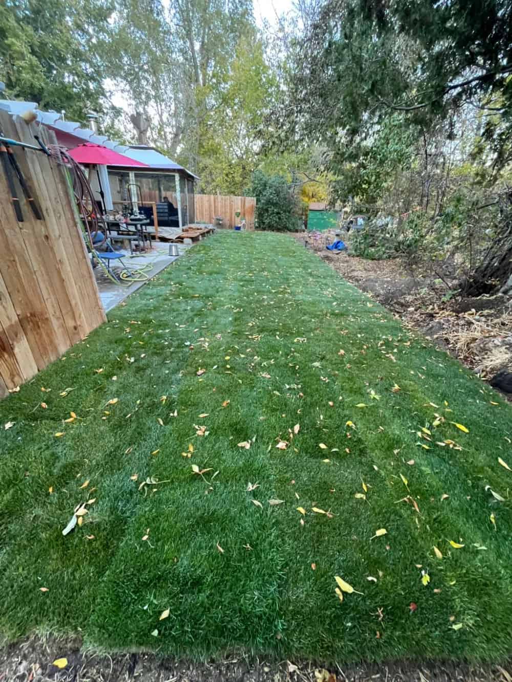 Yard Clean-Ups image