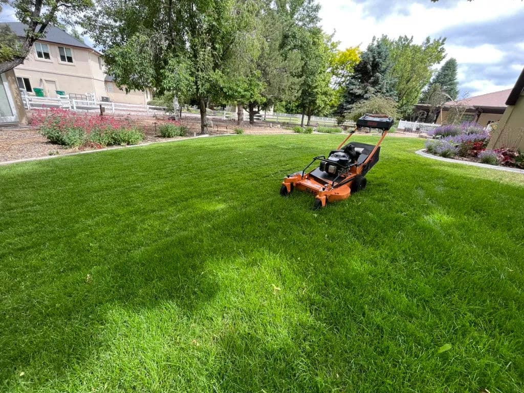 Lawn mower on a lush green lawn surrounded by trees and homes, cloudy sky.