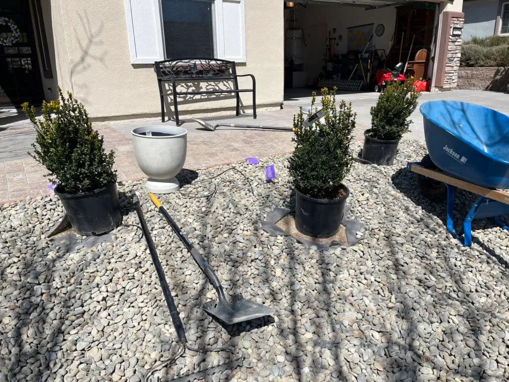 Landscape featuring potted shrubs, gravel, gardening tools, and a blue wheelbarrow.