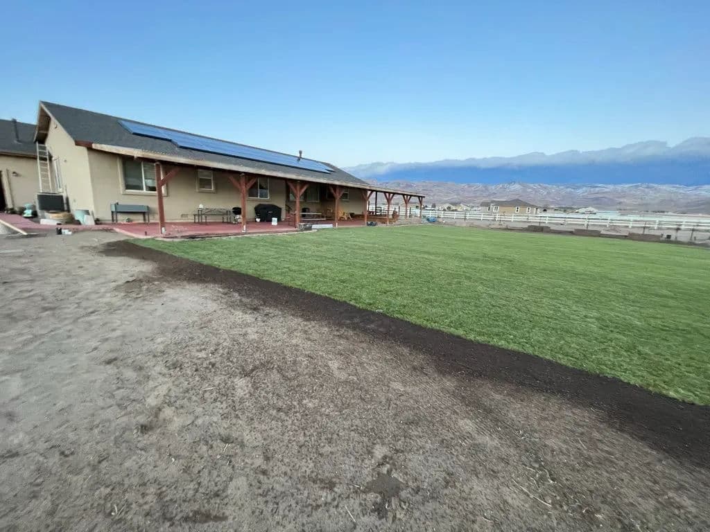 Spacious backyard with new grass, solar panels on the house, and mountain views.