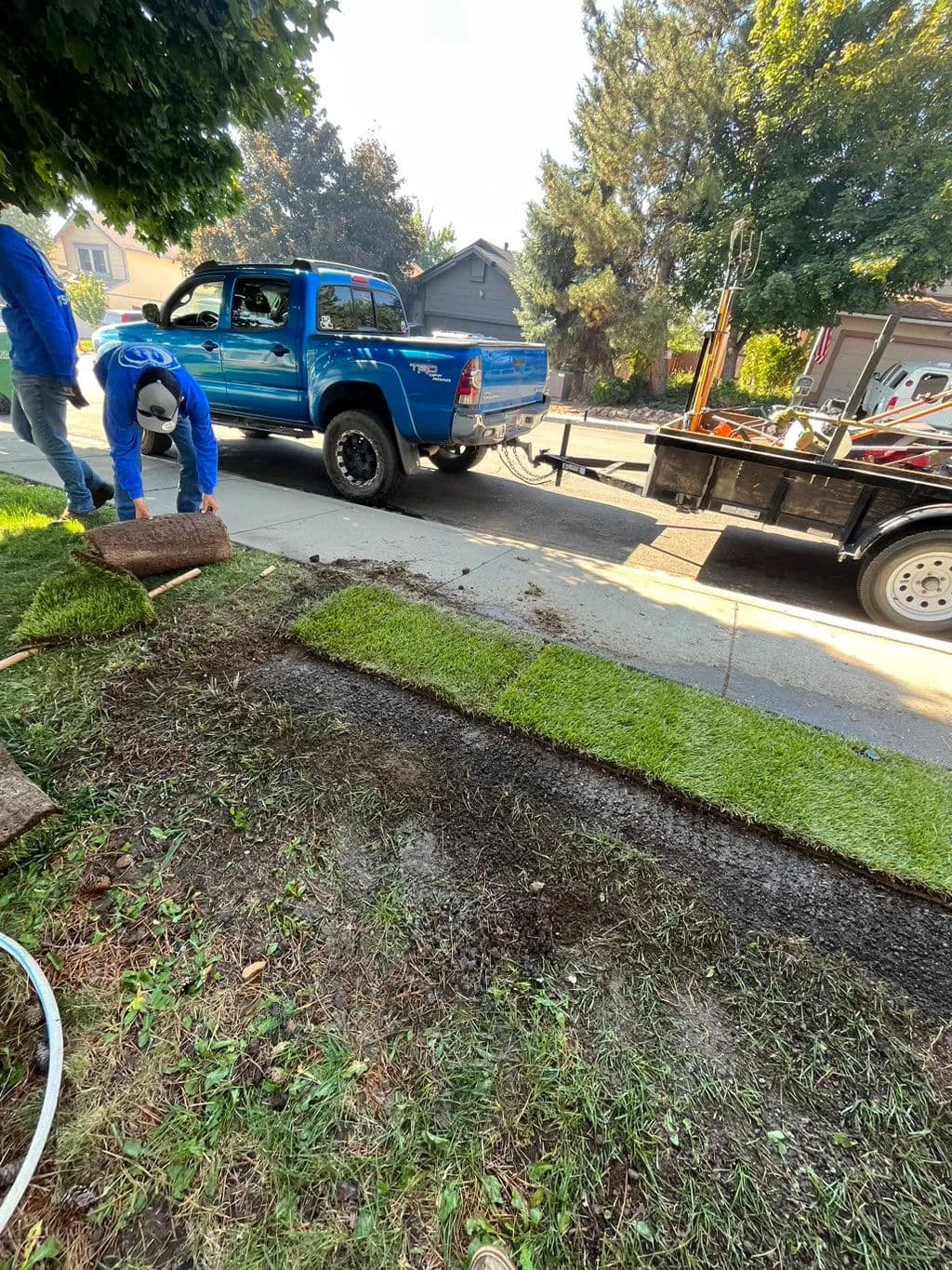 Laying fresh sod on residential lawn with pickup truck and trailer in the background.