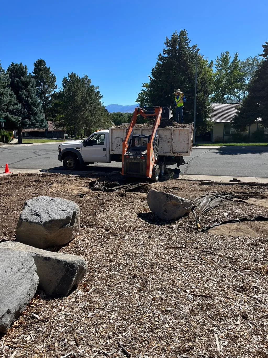 Worker using a cherry picker truck for tree maintenance on a sunny day in a residential area.