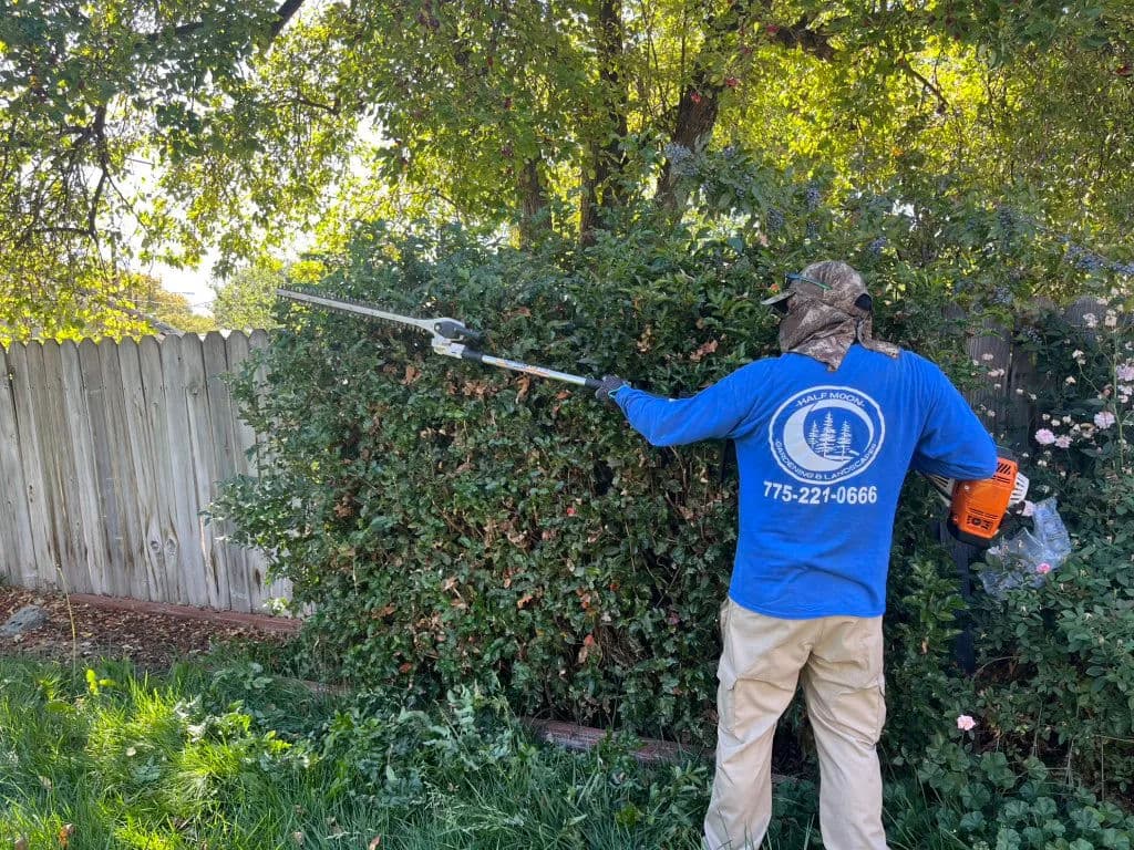 Person in blue shirt trimming a hedge with a power trimmer in a residential yard.