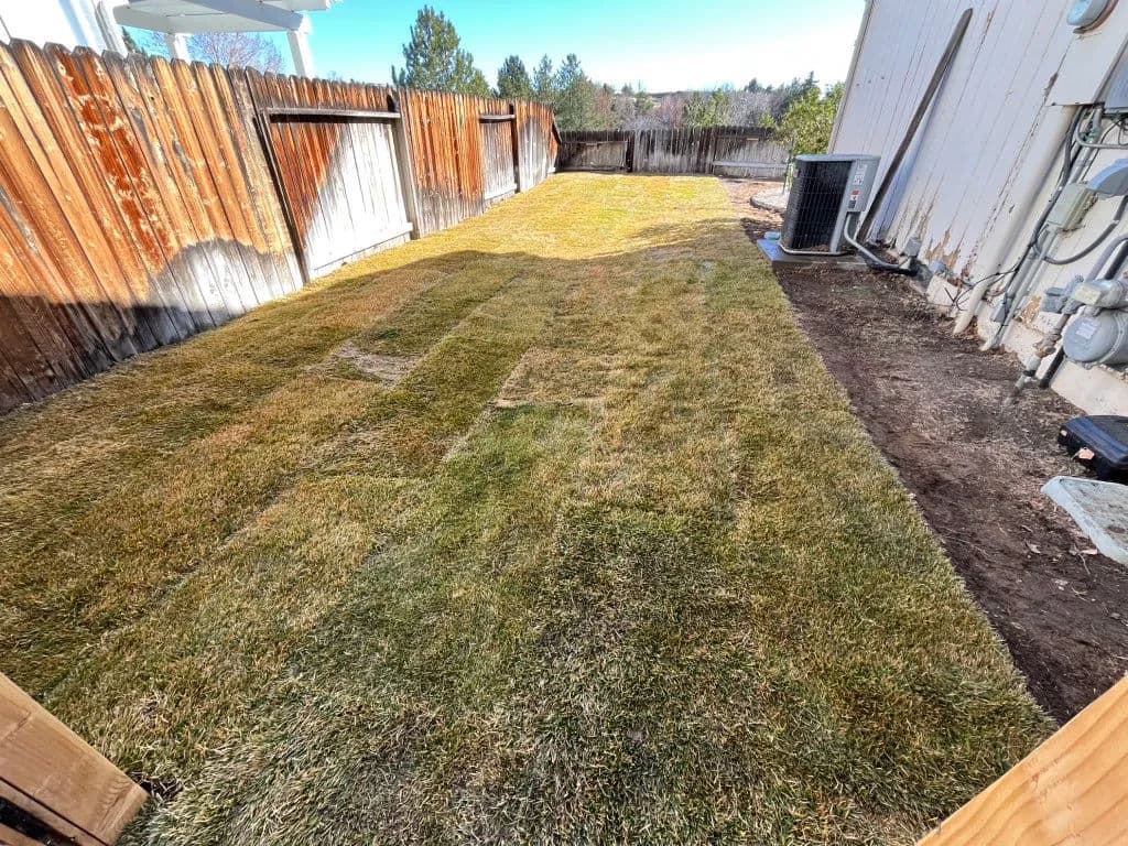 Lush green lawn installation in backyard with wooden fence and utility equipment visible.